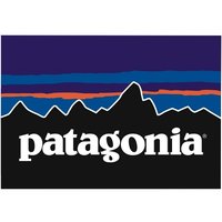 Patagonia Women's Lightweight Synchilla Snap-T Fleece Pullover (Nickel w/Pale  Periwinkle) Fleece