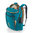 Patagonia Black Hole Pack 32L (Pufferfish Gold)