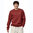 Patagonia Fitz Roy Icon Uprisal Crew Sweatshirt (Mangrove Red)